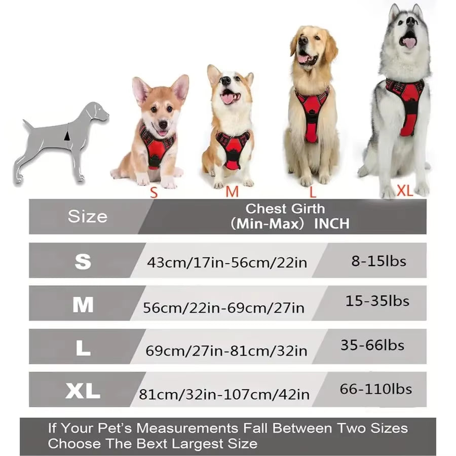 Easy-Control Dog Harness – Walks Without the Pull