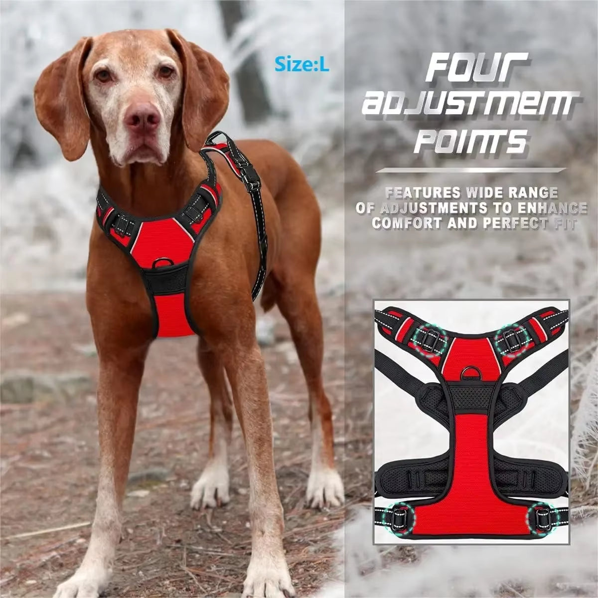 Easy-Control Dog Harness – Walks Without the Pull