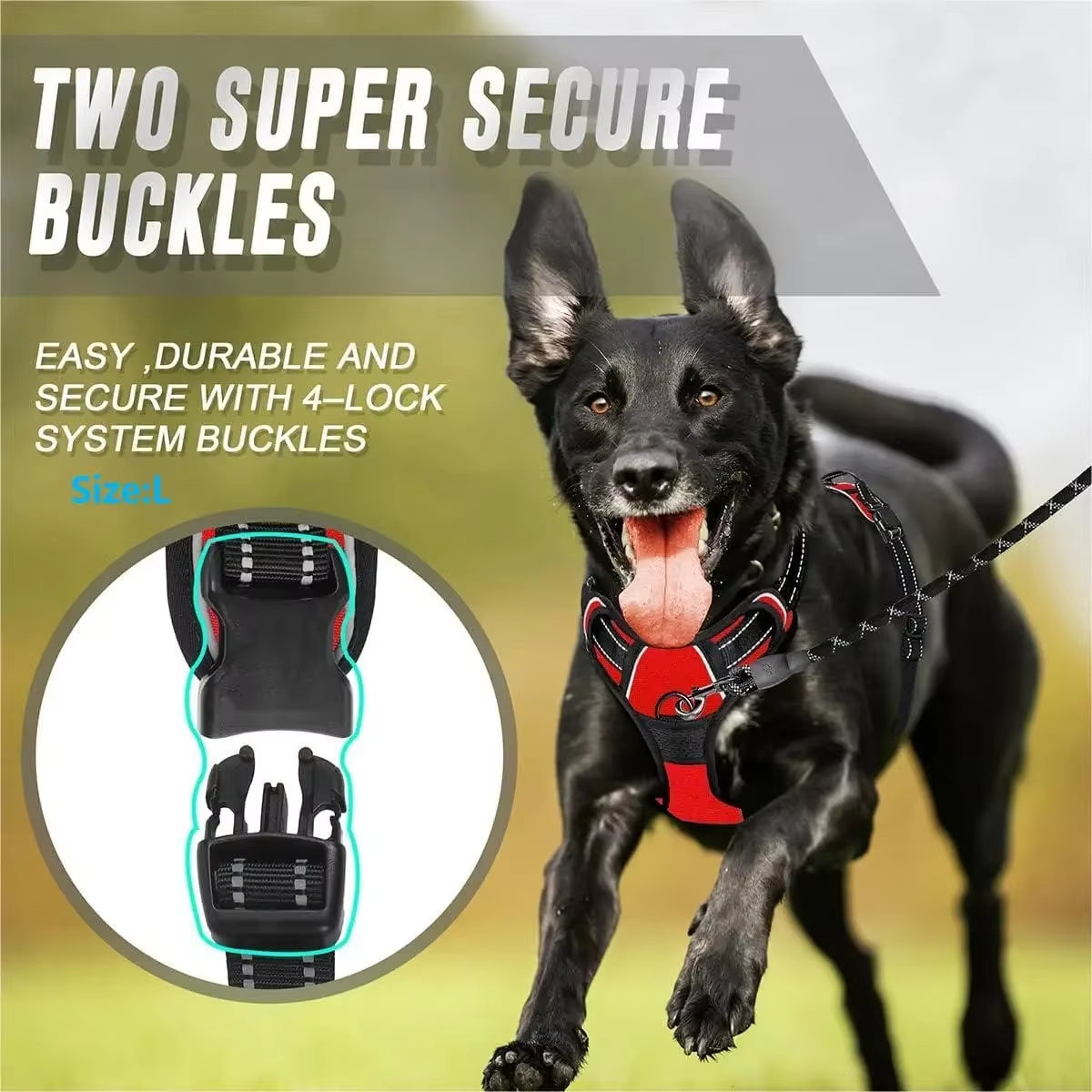 Easy-Control Dog Harness – Walks Without the Pull