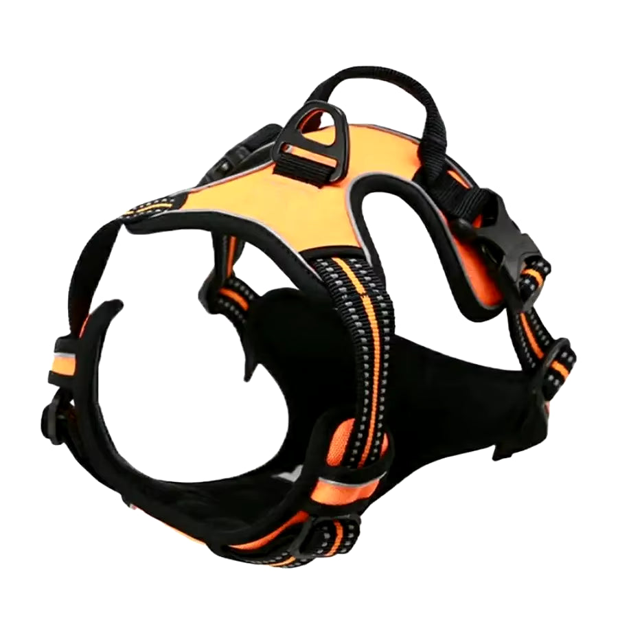 Easy-Control Dog Harness – Walks Without the Pull