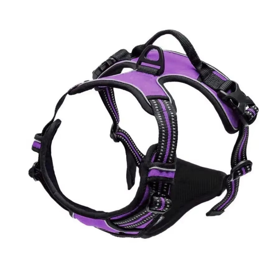 Easy-Control Dog Harness – Walks Without the Pull