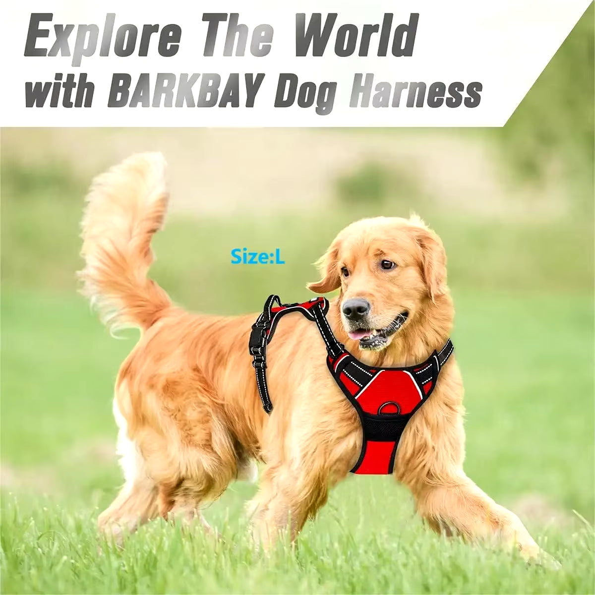 Easy-Control Dog Harness – Walks Without the Pull